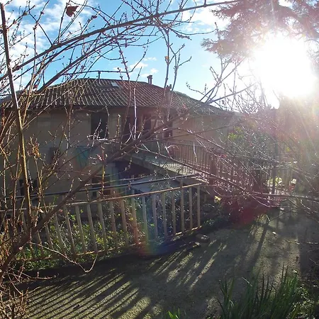 B&B Il Cedro-3